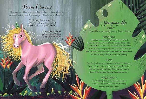 The Magical Unicorn Society: Baby Unicorns by Valentina Luz, Anne Marie Ryan