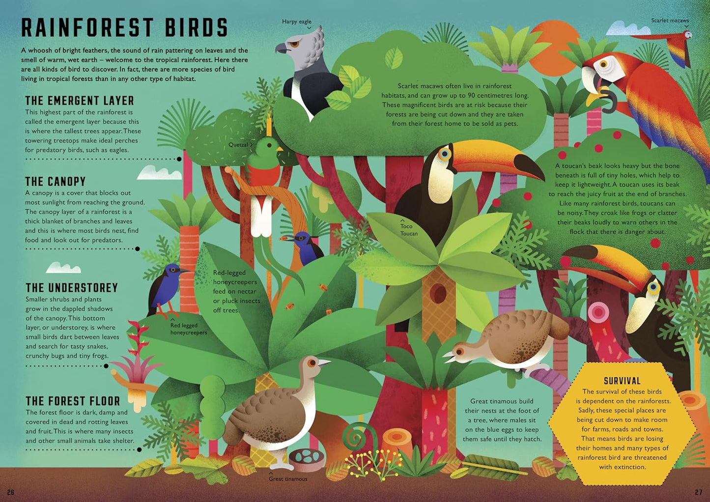 Wild Your World: Birds by Camilla de la Bedoyere