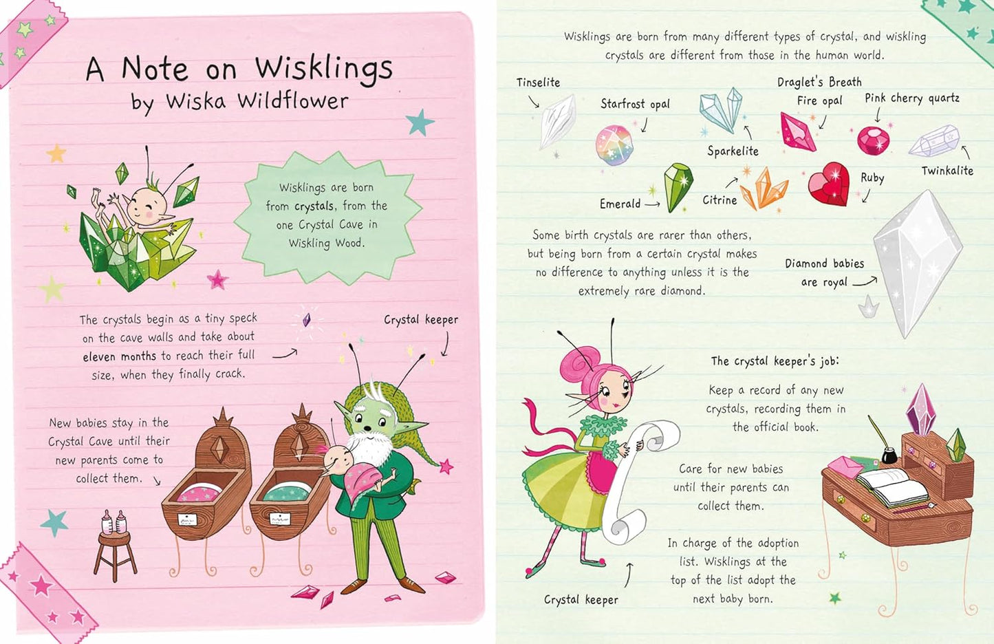 The Diary of Wiska Wildflower: The New School by Harriet Muncaster